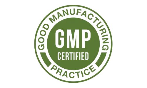 Gelatine Sculpt -  GMP